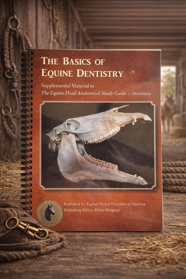 The Basics of Equine Dentistry