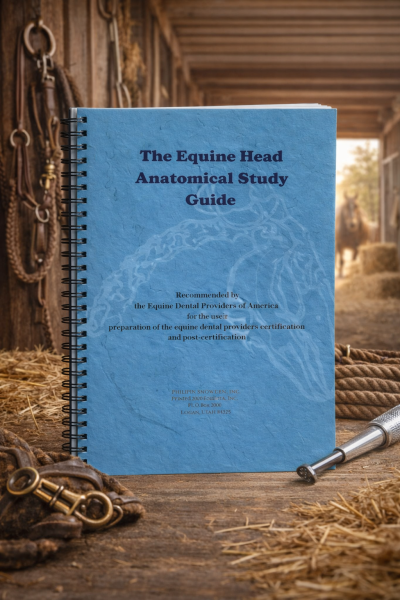 The Equine Head Anatomical Study Guide