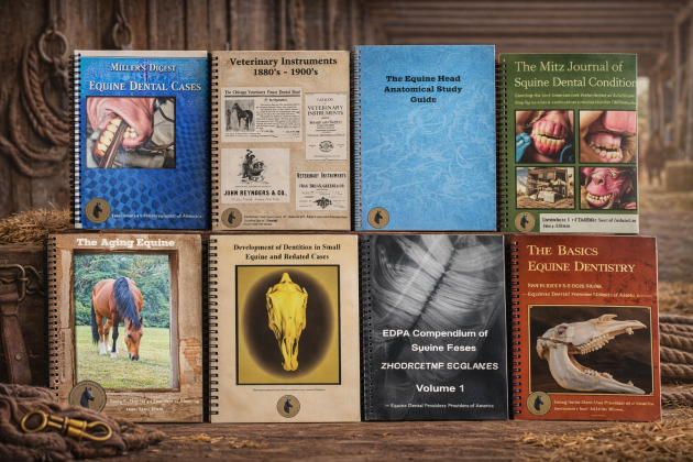 Book Bundle Deal - All 8 Books