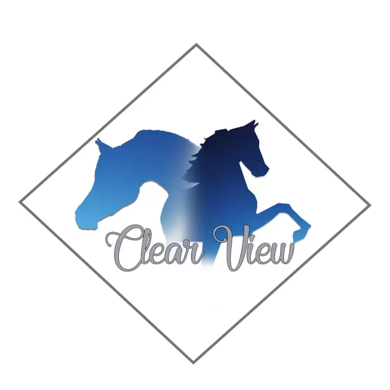 clear view logo